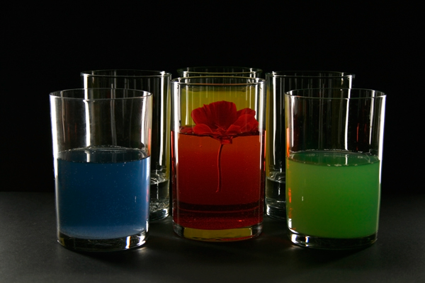 _MG_7910a+wiosna+studio